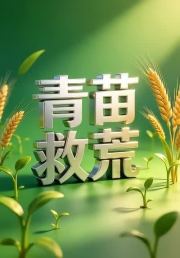 青苗救荒2